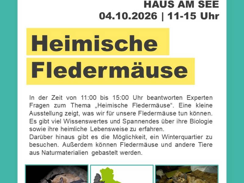 Plakat HS Fledermäuse 2026.jpg